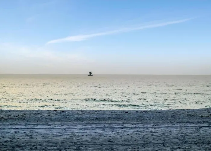 Stones Throw Beachfront Premier #4 Views Clearwater Beach